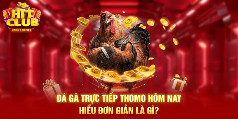 Đá gà trực tiếp Thomo hôm nay hiểu đơn giản là gì?