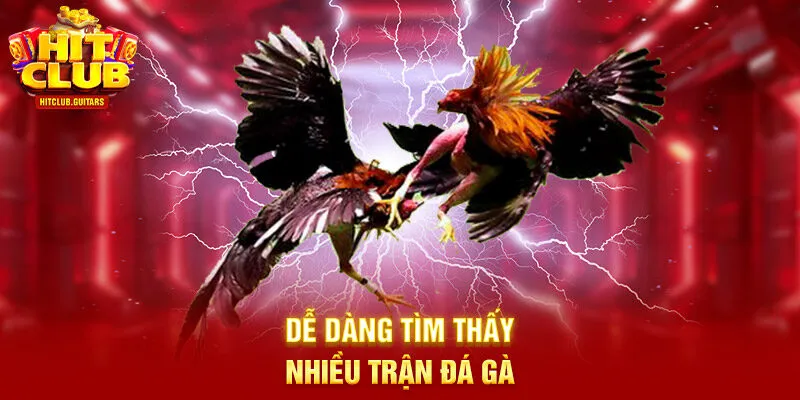 Dễ dàng tìm thấy nhiều trận đá gà